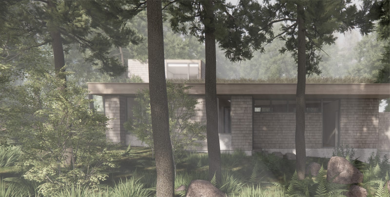Front elevation of the house among tall pines